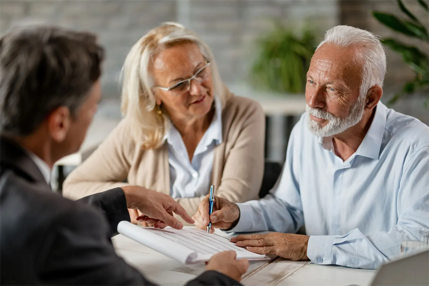 Investigating elder-law in Aotearoa