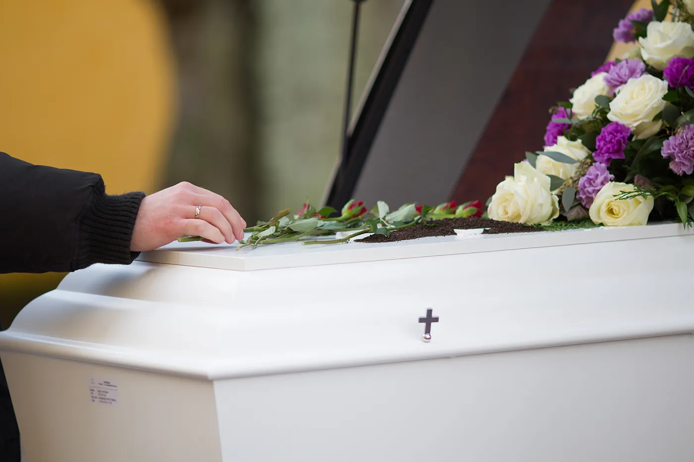 Burial, cremation... or go 'green'?